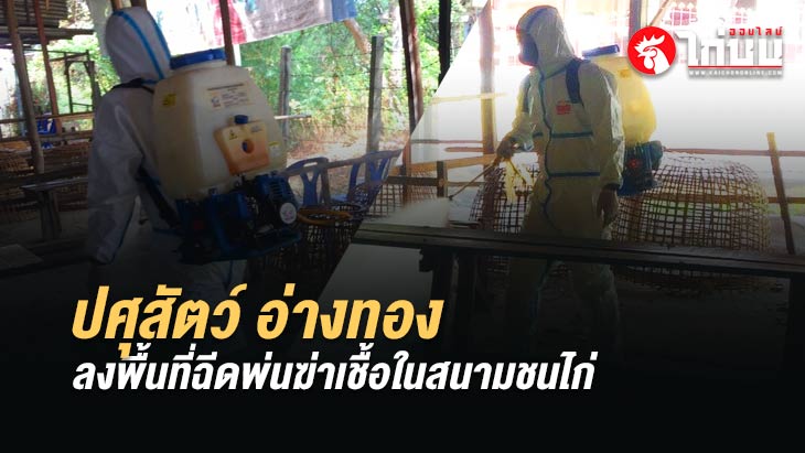 ปศุสัตว์จังหวัดอ่างทองลงพื้นที่ฉีดพ่นฆ่าเชื้อในสนามชนไก่และพื้นที่เสี่ยง