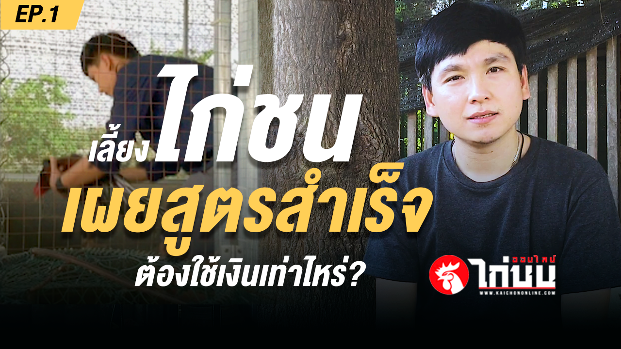 เจ้าฟ้าคำราม ค่าตัว 6.5 ล้านบาท